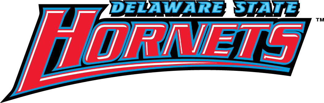 Delaware State Hornets 2004-Pres Wordmark Logo diy iron on heat transfer